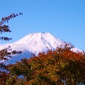 写真: IMGP1962紅葉と富士山