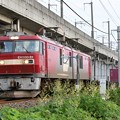 Photos: EH500-81牽引3057レ
