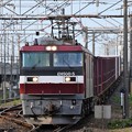 Photos: EH500-5牽引4088レ小金井3番通過