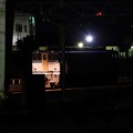 Photos: 夜の貨物駅にカラシさん