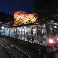 Photos: 紅葉ライトアップ二ノ瀬駅