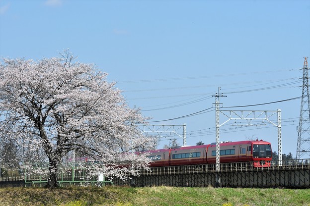 写真: 桜・赤い特急