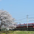 Photos: 桜・赤い特急