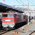 Photos: EF510-6牽引4076レ