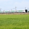 Photos: E257系臨時特急あしかが大藤まつり2号