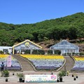 Photos: とちぎ花センター