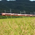 Photos: 東武日光線を行く赤い特急