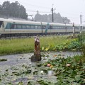 Photos: 激しい雨の倉ケ崎SL花畑を行くリバティ