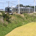 Photos: 秋色の宇都宮線E131系