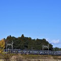 Photos: 鎮守森の銀杏と東武宇都宮線