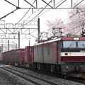 Photos: 春雨の宇都宮線を行くEH500‐7号機牽引3087レ
