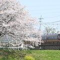 写真: 桜・スペーシア