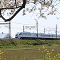 写真: 思川桜堤を行くスペーシアX