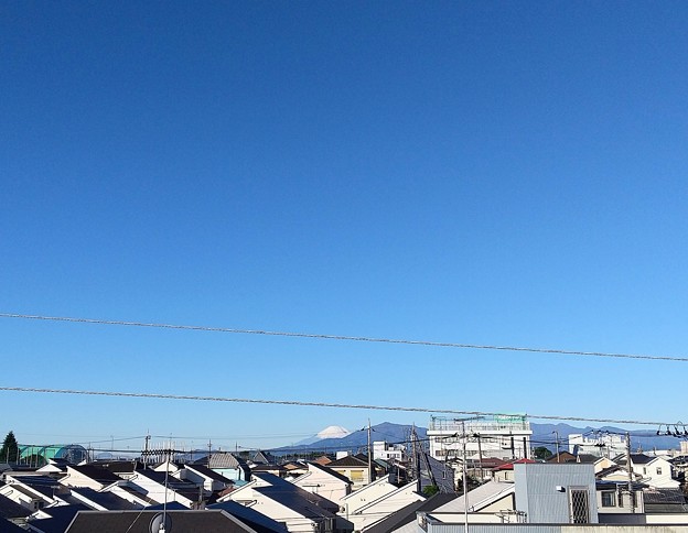 写真: 211111 富士山