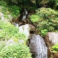 写真: 220515 幸運の滝