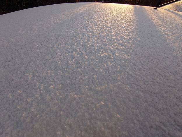Photos: デルソルの雪原