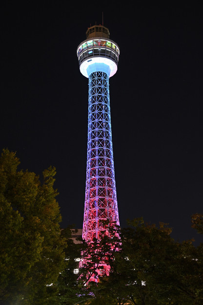 夜のマリンタワー