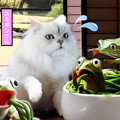 写真: 2023-05-23-Tue【Twitter】-ユキポンさん_アマガエルが緑茶蕎麦に入っていて食べようとした白いペルシャ猫が驚く