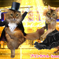 写真: 2023-05-25-Wed【Twitter】-プリンちゃん_Somali-Catは燕尾服やシルクハットを着てタップダンスをブロードウェイで踊る