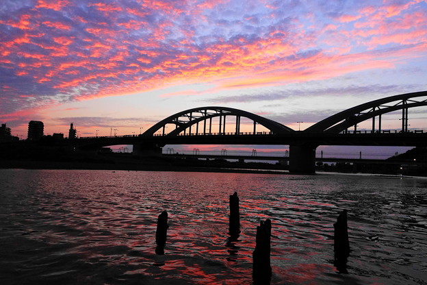 写真: 210621_36Y_夕暮れの丸子橋・RX10M3(多摩川) (82)