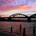 写真: 210621_36Y_夕暮れの丸子橋・RX10M3(多摩川) (82)