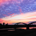 210621_36Y_夕暮れの丸子橋・RX10M3(多摩川) (115)