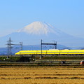 Photos: 191216_L02_ドクターイエローと富士山・S18200 (13-2)