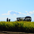 Photos: 210102_25N_菜の花畑で・RX10M3(ソレイユの丘) (86)