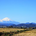 191204_R01_富士山・RX10M3(平塚) (18)
