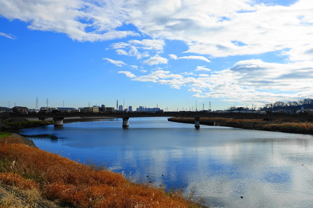 写真: 191227_R03_青い空と白い雲・RX10M3(鶴見川) (1)