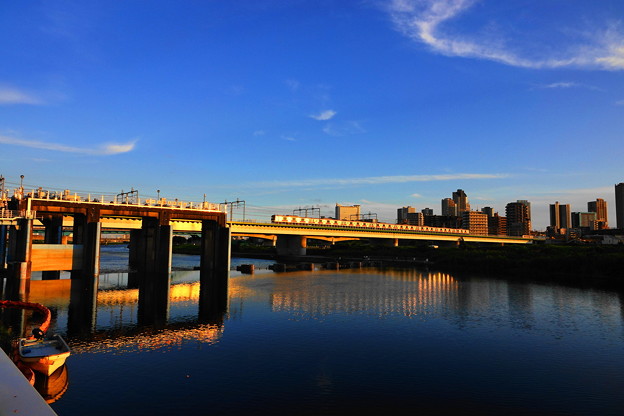 写真: 210723_49Y_夕陽の橋梁・RX10M3(多摩川) (9)