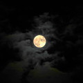 写真: 210921_62T_十五夜の月・RX10M3(近隣) (8)