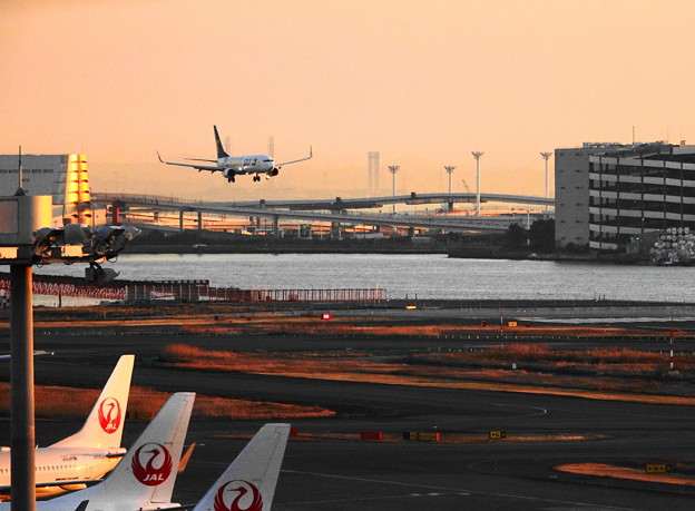 写真: 200120_51H_展望デッキからの眺め・RX10M3(羽田空港) (503)