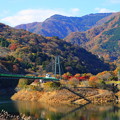 Photos: 211107_45M_大吊り橋界隈の様子・RX10M3(もみじ谷大吊橋) (34)
