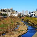 写真: 220109_04K_川の情景・RX10M3(矢上川) (2)