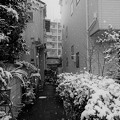 Photos: 220106_25Y_雪です・RX10M3(近隣-E)
