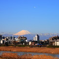 Photos: 220225_15K_河川敷からの富士山・RX10M3(多摩川) (1)
