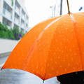 210616_05A_雨の日・Sm(近隣) (54)