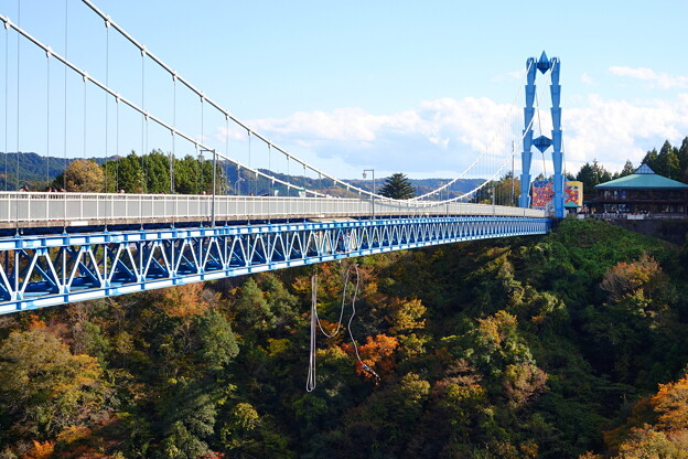Photos: 大吊橋からバンジー