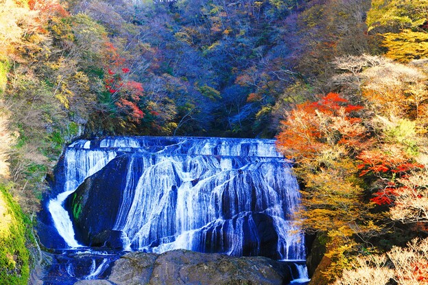 Photos: 紅葉と滝(2023.11.20)