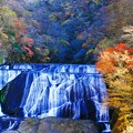 Photos: 紅葉と滝(2023.11.20)
