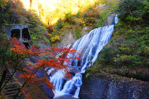 紅葉と滝を横から(2023.11.20)