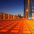 Photos: 夕闇の丸子橋で
