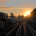 写真: 夕景の鉄路(2024.2.18)