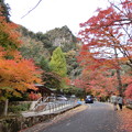 写真: 11月14日豪渓の現在の紅葉景色