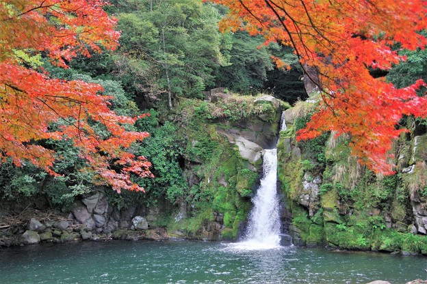 写真: 紅葉と滝