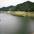 大鶴湖の上流