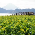 写真: 池田湖と開聞岳