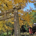 写真: 大山祇神社
