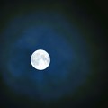 Photos: 昨夜も名月